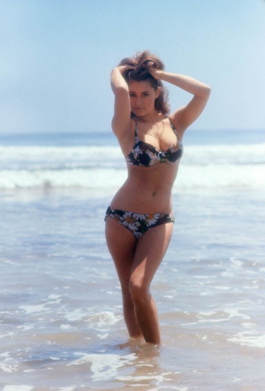 Linda Summers  nude photo