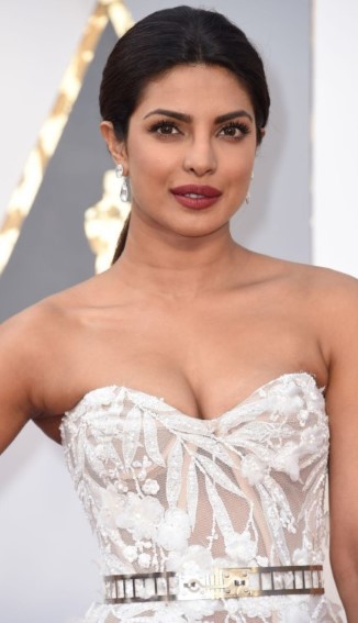 Priyanka Chopra  nude photo
