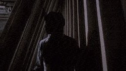 Rebecca De Mornay  nude photo