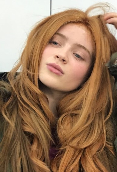 Sadie Sink  nude photo