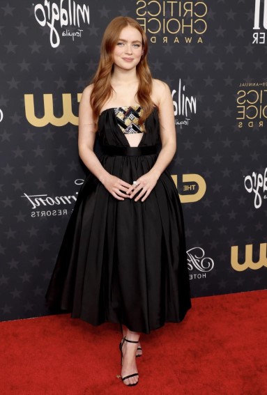 Sadie Sink  nude photo