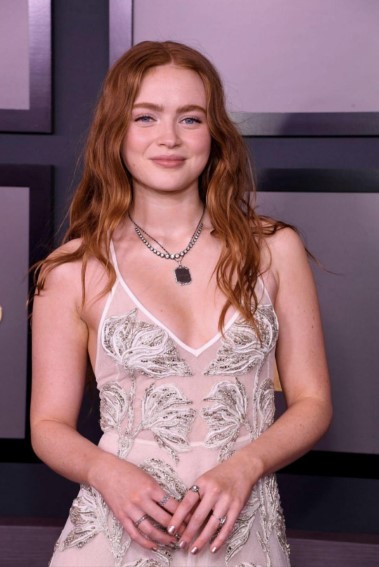 Sadie Sink  nude photo