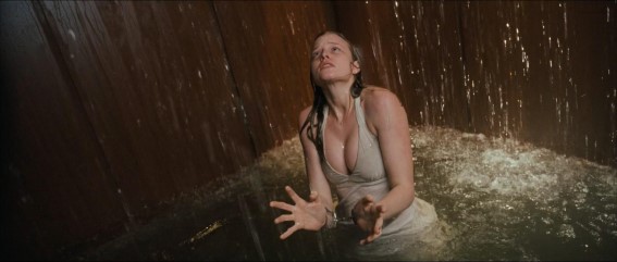 Rachel Nichols  nude photo