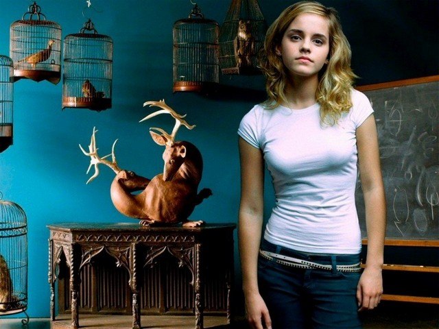 Emma Watson As Harry Potter  nude photo