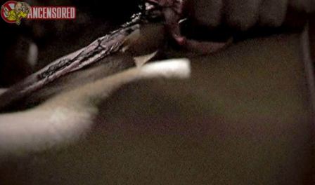 Lauren Holly Nude Scene  nude photo