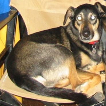 Liza Snyder Nude  nude photo