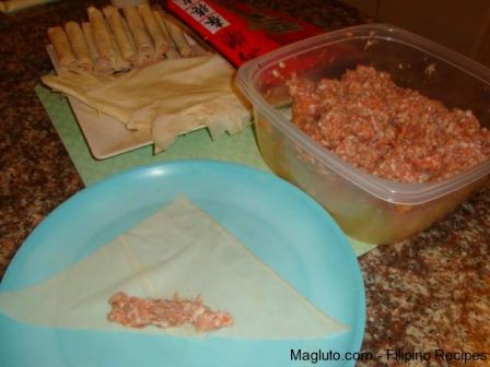 Lumpia Shanghai Filipino Recipe  nude photo