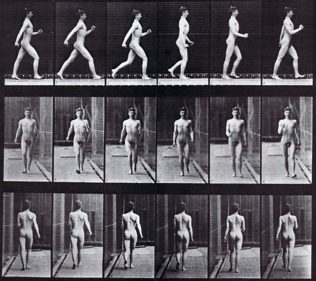 Male Nude Walking  nude photo