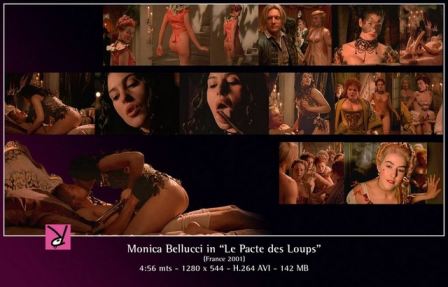 Monica Bellucci Nude Scene  nude photo